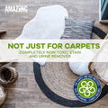 Pet Carpet Shampoo - Carpet Cleaner Solution for Carpet Cleaner Machine, Urine Smell & Stain Remover, Pet Urine Enzyme C