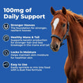 AniMed Biotin 100 Daily Horse Hoof Supplement & Equine Hair Growth Powder 5 lbs