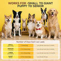 Pawvotum Amino Acids for Dogs,Dog Vitamins and Supplements, Support Immunity, Digestion, Skin & Coat, Muscle Health, Contains Lysine, DL-Methionine and Taurine