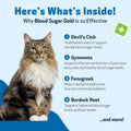 Pet Wellbeing Blood Sugar Gold for Cats - Blood Sugar Support, 2 oz