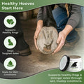 Pure Sole Hoof Clay for Horses Hoof Mud | for Horses with Thrush-Prone Hooves, Deep Sulcus Cracks & White Line Issues | 