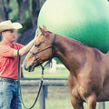 Parelli Green 42" - 44" Durable Inflatable Bright Bouncing Ball | Equine Training & Play Tool - Pony & Horse Toy for Cur