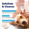 Covetrus CeraSoothe® SA Ear Cleansing Solution for Dogs, Cats & Horses – Salicylic Acid Formula to Remove Wax, Debris & 