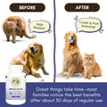 Wholistic Pet Organics Krill Oil for Dogs and Cats - Premium Antioxidant Support for Pets - Cat and Dog Skin and Coat Supplement with EPA, DHA, Astaxanthin - Omega 3 for Dogs and Cats - 60 Soft Gels