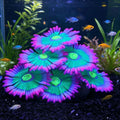ZtohPyo Glow Fish Tank Decorations, Soft Silicone Coral for Small Aquariums