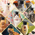 GIFTMISSU 2 Pack Mini Graduation Caps with Yellow Tassels, Small Animal Bachelor Hats for Cats and Dogs, Adjustable Pet Graduation Photo Props and Holiday Costume Accessories
