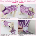 QUEARN 2 Packs Breathable Cotton Dog Recovery Suit for After Neuter Spay Abdominal Wounds Protector, Professional Anti-Licking Onesies for Male Female Pets Surgery Bandages, XL Purple & Pink Stripes