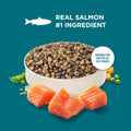 Nutrish Dry Cat Food, Salmon & Brown Rice Recipe, 5 lb. Bag (Rachael Ray)