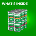 IAMS Proactive Health Wet Dog Food Adult, Canned Dog Food, Chicken Chunks in Gravy and Beef Chunks in Gravy, 13 oz. Cans, Pack of 12