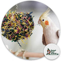 Sweet Feet and Beak Shredder Ball, Small, 3" Bird Shredding & Foraging Toy
