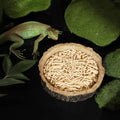 CalPalmy 2 Pack Reptile Water and Food Bowls, Novelty Food Bowl for Lizards, Young Bearded Dragons, Small Snakes and Mor