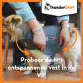 ThunderShirt for Dogs Calming Anxiety Vest, Small, Heather Gray
