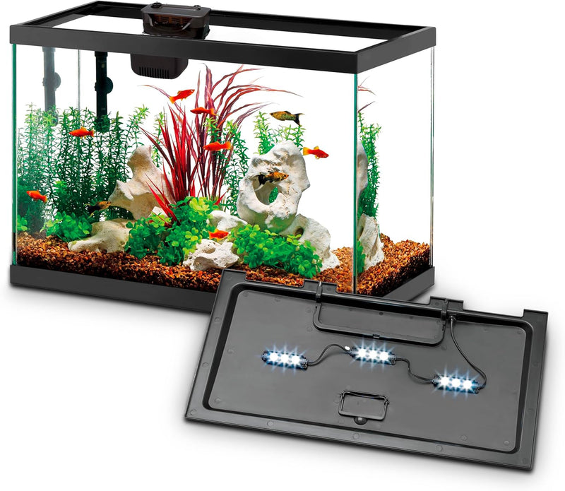 Aqueon Aquarium Starter Kit with Smart Clean Filtration and LED Lighting, Freshwater and Saltwater Fish, Perfect for Tet
