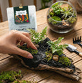 Terrarium Modeling Soil Mix, Sculpting Terrarium Substrate, Sticky Clay Soil for Moss Walls, Vertical Natural-Looking Ba