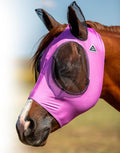 Orchid/Warmblood