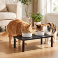 OPNICE Adjustable Cat Food Stand, Elevated Cat Feeder Stand with 4 Height Settings, Automatic Cat Feeder & Tradition Bow