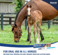 Ivermectin Paste 1.87% Horse Dewormer | Single-Pack Dose Apple-Flavored Syringes | Broad-Spectrum Equine Wormer & Botici