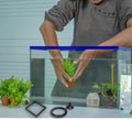 SunGrow 2 Betta Feeding Ring, Prevent Water Turbulence from Washing Food into Filter, Practical Round Floating Food, Sui