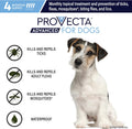 Provecta® Advanced Flea & Tick for Medium Dogs 11-20 lbs, 4-Month Supply