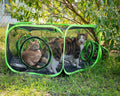 Small Animal Playpen Guinea Pig Hedgehog Cage Rabbit Cage with Fun Surround Tunnel Breathable & Transparent Pop Open Exe