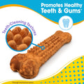 Nylabone Nubz Puppy Dog Treats, Turkey & Sweet Potato Flavor, 28 Count