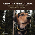 Earth Animal Apothecary Flea & Tick - 1 Herbal Collar for Large Dogs