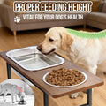 Elevated Dog Bowls for Large and X-Large Breed, 2 Stainless Steel Bowls