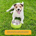 123 Treats Dog Rawhide Bones: Rawhide Bones Chews 3-4" Premium Raw Hide Dog Bone, Free Range Grass Fed Cattle with No Hormones, Additives or Chemicals, Tasty Long Lasting Chews for Dogs, Pack of 15