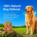EcoVenger Flea Collars for Dogs & Cats - Flea & Tick Repellent 2-Pack Orange. Built-in Pant-Based Formula Strong Repelle