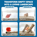 SunGrow 3 Pack Shrimp Cholla Wood, Aquarium Driftwood Decor for Fish Tank Setup, Shelter Hideout and Grazing Surface, Ha