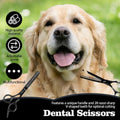 Professional Dog Grooming Scissors, 28 Teeth Thinning Shears, Black Titanium Stainless Steel, Safety Round Tip
