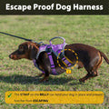 Huntboo Escape Proof Dog Harness, Dachshund Harness, Reflective Dog Harness with Handle, Durable,Adjustable Vest for Sma