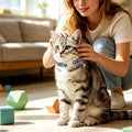 LIONET PAWS 2 Pack Breakaway Cat Collars, Cute Soft Cotton Plaid Gingham & Blue Stripe Kitten Collars with Bell for Boy 