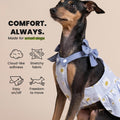 Fitwarm Daisy Dog Dress, Elegant Summer Clothes for Small Dogs Girl, Lightweight Pet Clothes, Blue, White, Large