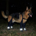 Suspender Boots for Small Dogs, Ultra-Lightweight Waterproof Anti-Slip Puppy Shoes, Adjustable Paw Protector with Reflec