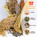 Natural Hamster Flower & Herb Habitat Deocr, Hamster Sprays Herbs Bedding Mate, Hamsters Cage Enrichment Decoration Acce