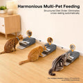 HEAPETS Automatic Cat Feeder with RFID Collar Sensor for Multi-Pet Households, Anti-Stealing Food Dispenser with Sealed 