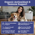 Wholistic Pet Organics Spirulina Powder for Dogs and Cats - Antioxidant Support for Dogs and Cats - Immune Support Supplement, Promotes Overall Wellness - Human-Grade Superfood for Pets - 85 Scoops