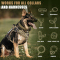 Heavy Duty Dog Collar Safety Clip for Harness Prong Pinch Collars