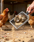 KOROI Chicken Poop Scooper - 2 Pack Chicken Coop Poop Scoop Shovel with 3.8mm & 5mm Mesh,Metal Chicken Coop Cleaning Too