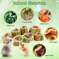 Abizoo Rabbit Chew Toys for Bunny Natural Papaya Wood Chew Treats with Organic Alfalfa Hay, Dried Carrot, Apple and Swee