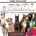 Chain Martingale Collar for Dogs, Dog Training Choker Collar-Bule L