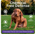 Flea Collar for Dogs, Flea & Tick Collar for Dogs, Refillable