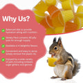Pet Jelly Pods Variety Pack - Nutritious Jelly Fruit Nectar Treats for Geckos, Sugar Gliders, Birds, Small Pets - Real F