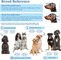 BARKLESS Dog Head Collar, No Pull Training Collar with Soft Padding
