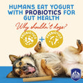 Himalayan Dog Chew Yogurt Sticks, Mixed Flavors, Dog Treats with Prebiotics, Probiotics & Protein, Digestive Support, Lactose & Gluten Free, Natural Dog Treat for All Breeds, Made in America, 4pk
