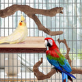 Parrot Perch Bird Perch Stand Set Natural Wild Wood Grape Sticks Paw Grinding Fork Parakeet Climbing Standing Branches Toys Cage Accessories for Conure,Cockatiels Lovebirds,Budgies Chewable 6PC