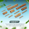 SubstrateSource Natural Cholla Wood - 3PC (1 4" Tunnel/Log + 2 6" Sticks)