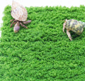 Hermit Crab Climbing Wall, 6 Inch Adjustable Hermit Crab Supplies for Hermit Crab Tank