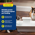 PetSafe Simply Feed Power Adapter for Automatic Dog and Cat Feeder, Black